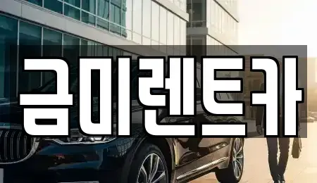서울 종로구 통인동 렌트카 전문 금미렌트카
