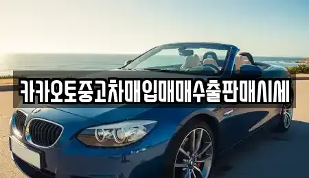 서울 종로구 통인동 중고차매입 전문 카카오토중고차매입매매수출판매시세
