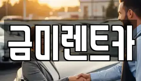 서울 종로구 행촌동 렌트카 전문 금미렌트카