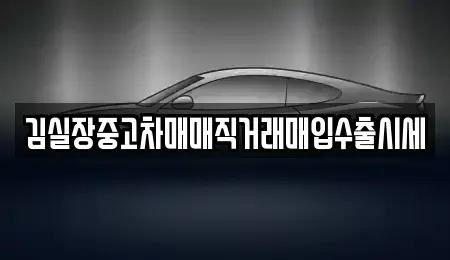 서울 종로구 행촌동 중고차 전문 김실장중고차매매직거래매입수출시세