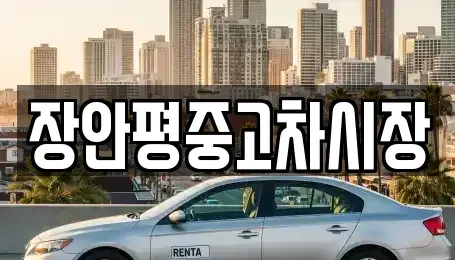 서울 종로구 행촌동 중고차 전문 장안평중고차시장