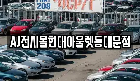 서울 중구 충무로4가 렌트카 전문 AJ전시몰현대아울렛동대문점