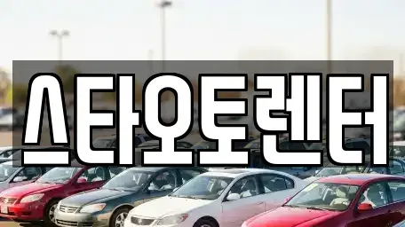 서울 중구 충무로4가 렌트카 전문 스타오토렌터