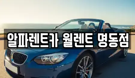 서울 중구 충무로4가 렌트카 전문 알파렌트카 월렌트 명동점