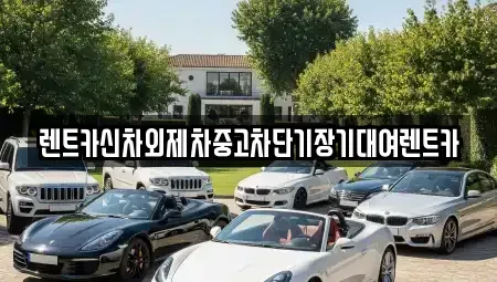 서울 중구 충무로4가 장기렌트카,중고차,렌트카,단기렌트카,중고차매입,중고차매매