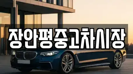 서울 중구 충무로4가 중고차 전문 장안평중고차시장