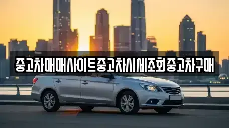 서울 중구 충무로4가 중고차 전문 중고차매매사이트중고차시세조회중고차구매