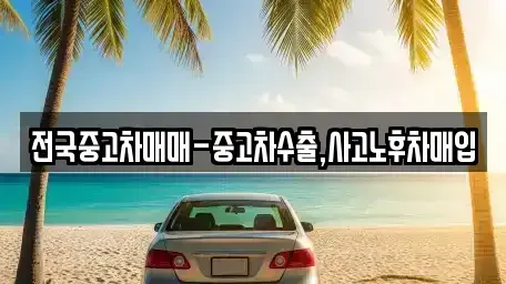 서울 중구 충무로4가 중고차매입 전문 전국중고차매매-중고차수출,사고노후차매입