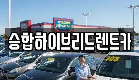 서울 중랑구 망우동 단기렌트카 전문 승합하이브리드렌트카