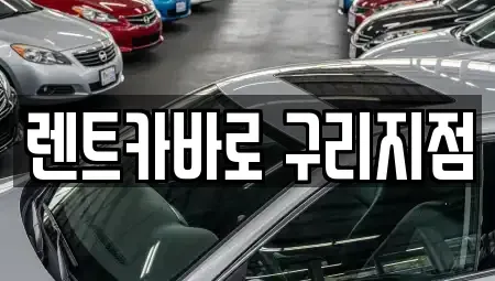 서울 중랑구 망우동 장기렌트카 전문 렌트카바로 구리지점