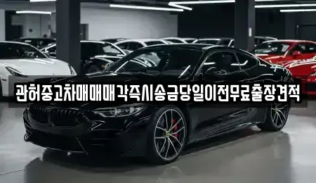 서울 중랑구 망우동 중고차 전문 관허중고차매매매각즉시송금당일이전무료출장견적