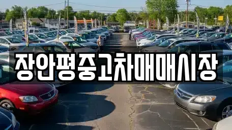 서울 중랑구 망우동 중고차 전문 장안평중고차매매시장
