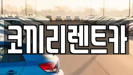 서울 중랑구 면목동 렌트카 전문 코끼리렌트카