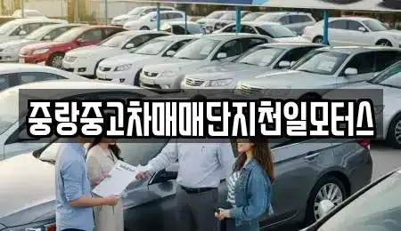 서울 중랑구 면목동 중고차 전문 중랑중고차매매단지천일모터스