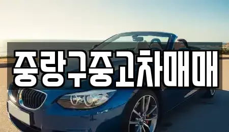 서울 중랑구 면목동 중고차매매 전문 중랑구중고차매매