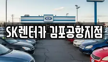 서울특별시 강서구 과해동 렌트카 전문 SK렌터카 김포공항지점