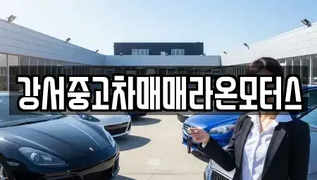 서울특별시 강서구 과해동 중고차 전문 강서중고차매매라온모터스