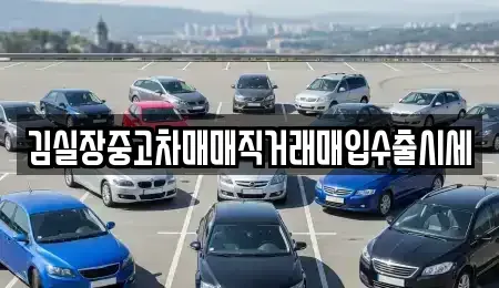 서울특별시 강서구 과해동 중고차 전문 김실장중고차매매직거래매입수출시세