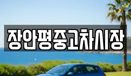 서울특별시 강서구 과해동 중고차 전문 장안평중고차시장