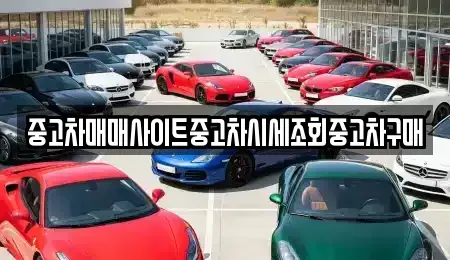 서울특별시 강서구 과해동 중고차 전문 중고차매매사이트중고차시세조회중고차구매