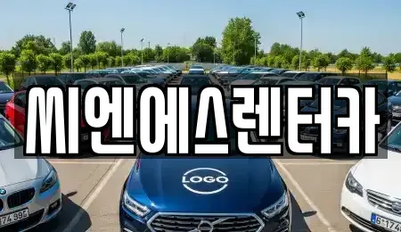 서울특별시 강서구 내발산동 단기렌트카 전문 씨엔에스렌터카