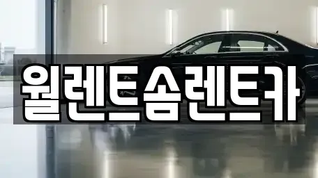 서울특별시 강서구 내발산동 렌트카 전문 월렌트솜렌트카
