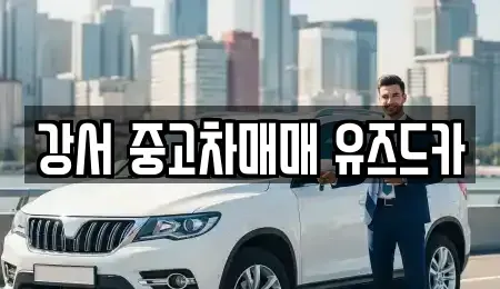 서울특별시 강서구 내발산동 중고차매매,단기렌트카,중고차매입,장기렌트카,중고차,렌트카