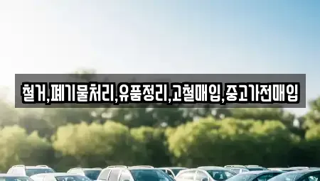 서울특별시 강서구 내발산동 중고차매입 전문 철거,폐기물처리,유품정리,고철매입,중고가전매입