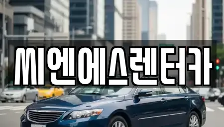서울특별시 강서구 마곡동 렌트카 전문 씨엔에스렌터카