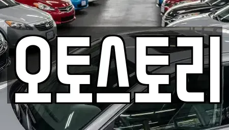 서울특별시 강서구 마곡동 중고차 전문 오토스토리