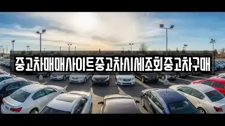서울특별시 강서구 마곡동 중고차 전문 중고차매매사이트중고차시세조회중고차구매