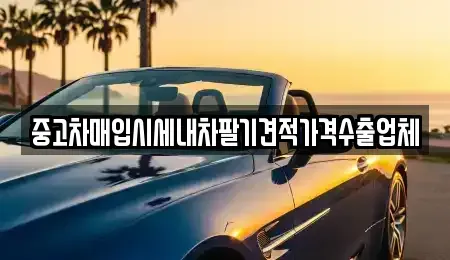 서울특별시 강서구 마곡동 중고차 전문 중고차매입시세내차팔기견적가격수출업체