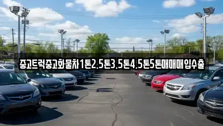 서울특별시 강서구 마곡동 중고차 전문 중고트럭중고화물차1톤2.5톤3.5톤4.5톤5톤매매매입수출