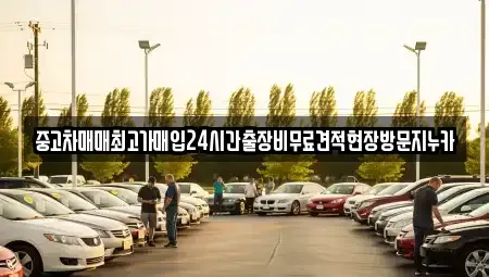 서울특별시 강서구 마곡동 중고차매입 전문 중고차매매최고가매입24시간출장비무료견적현장방문지누카