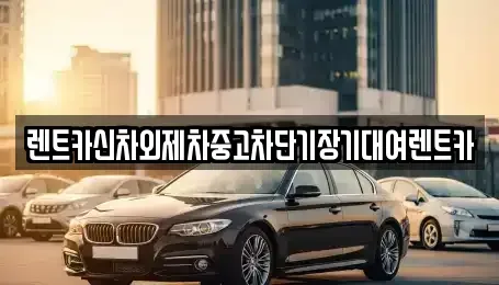 서울특별시 광진구 화양동 단기렌트카 전문 렌트카신차외제차중고차단기장기대여렌트카
