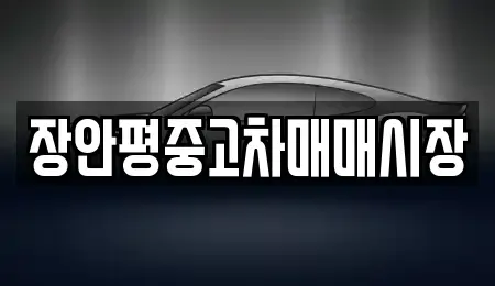 서울특별시 광진구 화양동 중고차 전문 장안평중고차매매시장