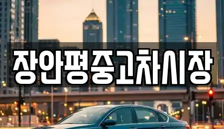 서울특별시 광진구 화양동 중고차 전문 장안평중고차시장