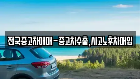 서울특별시 광진구 화양동 중고차 전문 전국중고차매매-중고차수출,사고노후차매입