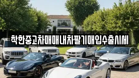 서울특별시 광진구 화양동 중고차 전문 착한중고차매매내차팔기매입수출시세