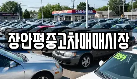 서울특별시 금천구 독산동 중고차 전문 장안평중고차매매시장