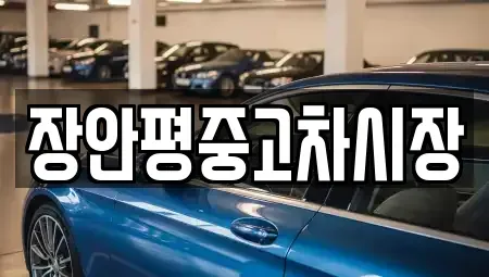 서울특별시 금천구 독산동 중고차 전문 장안평중고차시장