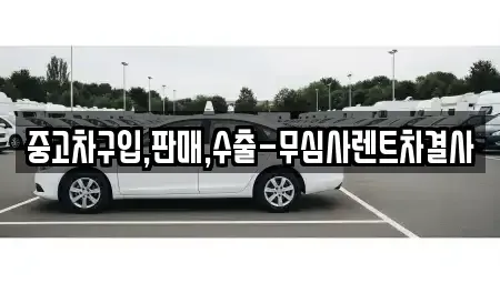 서울특별시 금천구 독산동 중고차 전문 중고차구입,판매,수출-무심사렌트차결사
