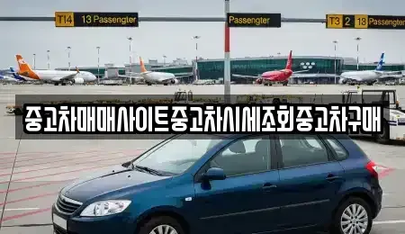 서울특별시 금천구 독산동 중고차,렌트카,중고차매입,중고차매매,장기렌트카,단기렌트카