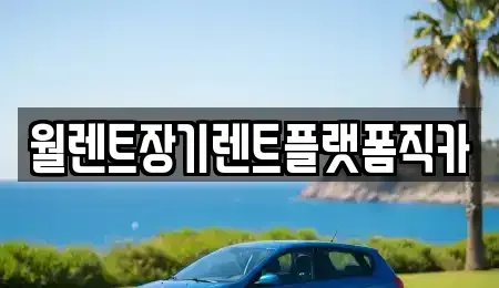 서울특별시 노원구 중계동 장기렌트카 전문 월렌트장기렌트플랫폼직카