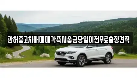 서울특별시 노원구 중계동 중고차 전문 관허중고차매매매각즉시송금당일이전무료출장견적