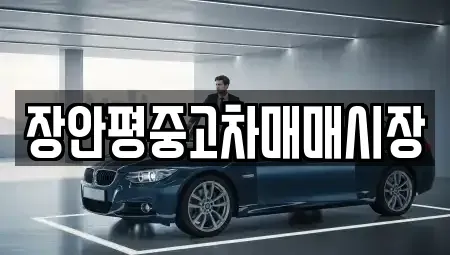 서울특별시 노원구 중계동 중고차 전문 장안평중고차매매시장