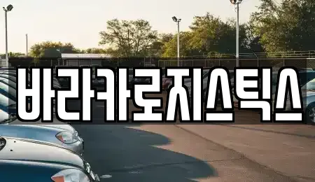 서울특별시 동대문구 답십리동 중고차매매 전문 바라카로지스틱스