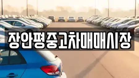 서울특별시 동대문구 답십리동 중고차매매 전문 장안평중고차매매시장
