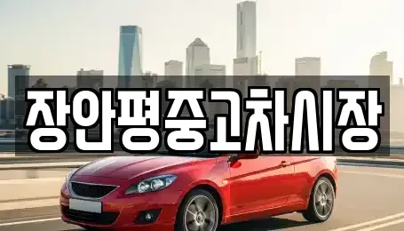 서울특별시 동대문구 답십리동 중고차매매 전문 장안평중고차시장