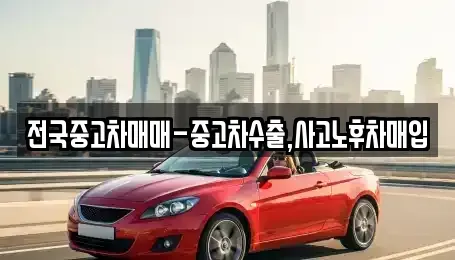 서울특별시 동대문구 답십리동 중고차매입 전문 전국중고차매매-중고차수출,사고노후차매입